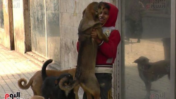Abd El-Rahman, a homeless young Egyptian boy, was filmed by local news dancing with street dogs. (Youm7)