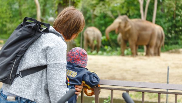 (Shutterstock/ File Photo)