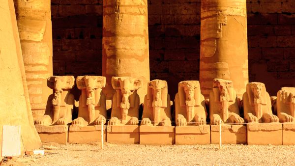 (Shutterstock/ File Photo)