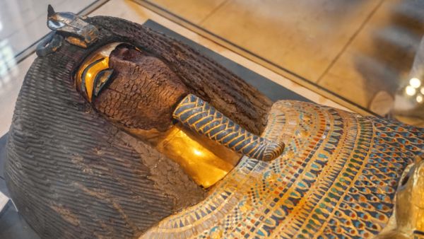 (Shutterstock/ File Photo)