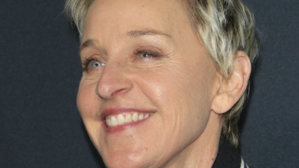 Ellen DeGeneres is into turtles. (Kathy Hutchins / Shutterstock.com)
