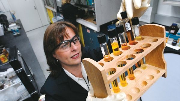 ظهرت القيمة الحقيقة لرغوة الصويا كمنتج صديق للبيئة ومفيد للأعمال مما ساهم في تقليص انبعاثات غاز الدفيئة. وقد أثمر ذلك عن فوائد مجزية مثل القدرة على تخفيض الوزن، ما أدى بدوره إلى تحسين الكفاءة في استهلاك الوقود في السيارات.