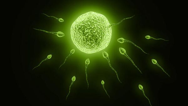 An Egyptian man in Dubai has claimed that his wife misused his sperm (Image for illustrative purposes: Credit: Shutterstock)