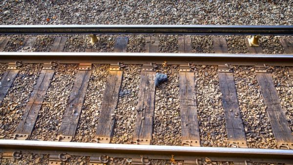 (Shutterstock/ File Photo)