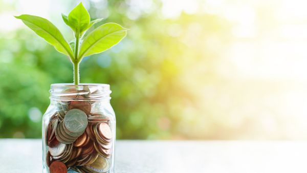 Banking regulators should work with banks to adopt good practices in the management of human, natural and financial resources. (Shutterstock)