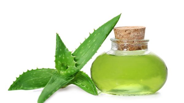 يعتبر الصبار واحداً من أفضل المكونات للعناية بالبشرة 