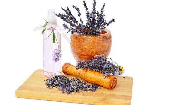 من أفضل انواع الزيوت الاساسية اللافندر أو الخزامى المنعش والمعالج للبشرة