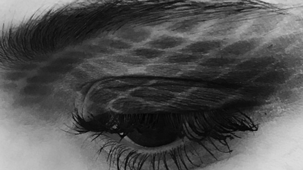 ظلال العيون المبطنة