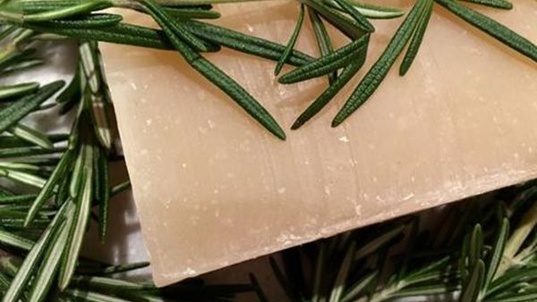  شامبو اللافندر والروزماري