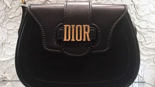 مجموعة حقائب ديور الجديدة DIOR LOGO BAGS