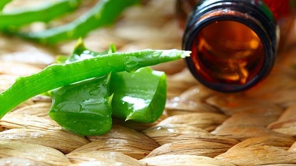 اصنعيه بنفسك: زيت الصبار لعلاج تساقط الشعر  اصنعيه بنفسك: زيت الصبار لعلاج تساقط الشعر