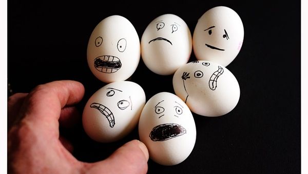 هل اضافة البيض الى وجبة نباتية يجعلها غير نباتية؟