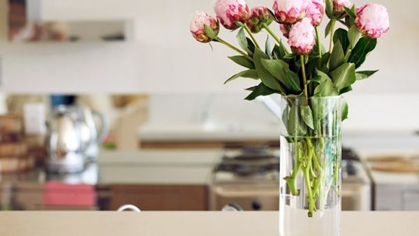 لا تقتل الزهور لانك لا تعرف كيف تهتم بها لا تقتل الزهور لانك لا تعرف كيف تهتم بها