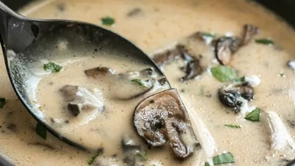 شوربة الفطر بالكريمة 