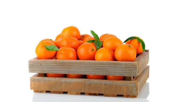 البرتقال يخلص الجسم من السموم