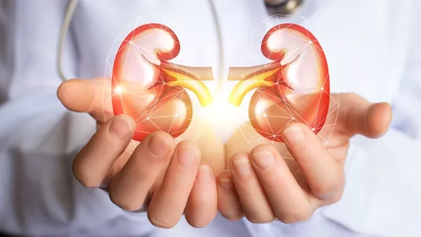 حصى الكلى متعبة ومؤلمة تعلم كيف تتخلص منها
