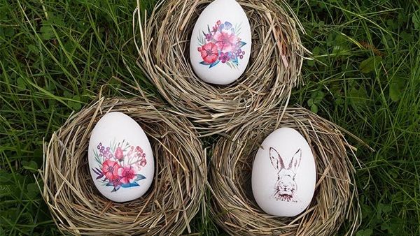 أفكار لطيفة لتزيين المنزل لعيد الفصح  أفكار لطيفة لتزيين المنزل لعيد الفصح