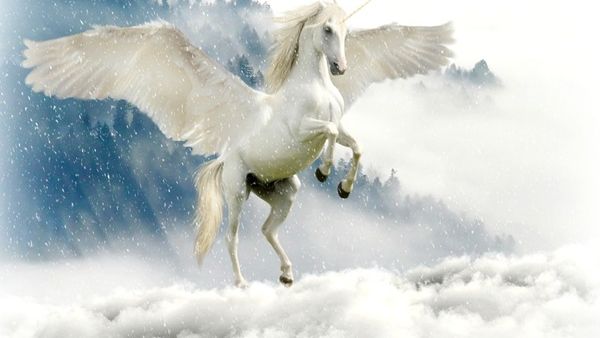 رؤية الحصان المجنح في المنام قد يكون مؤشر تحذير