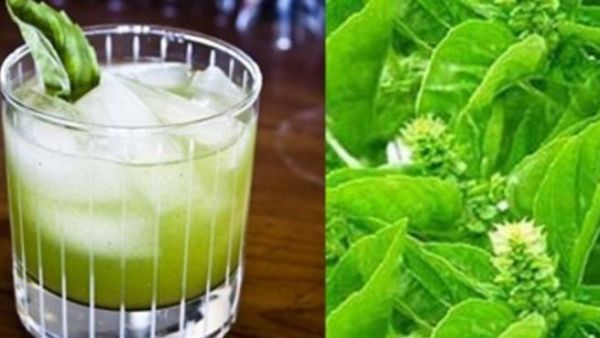ما هي المنافع الطبية لعشبة الريحان؟