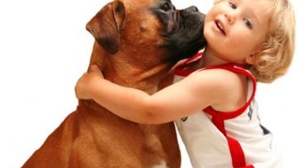 إحمِ الأطفال والحيوانات الأليفة من داء الكلب