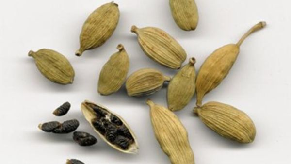 تعرف على إستعمالات الهيل الطبية