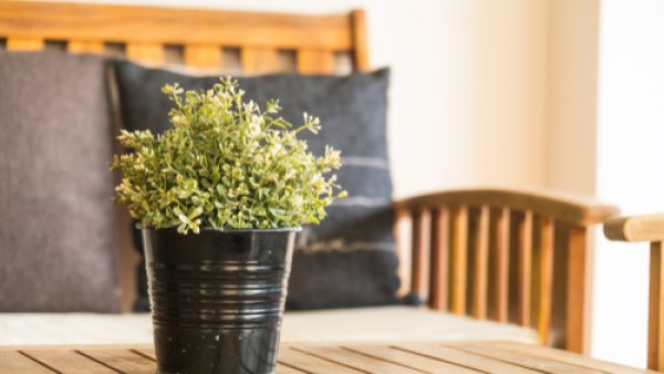 أول خطوة يجب القيام بها في المُحافظة على حديقة المنزل أول خطوة يجب القيام بها في المُحافظة على حديقة المنزل