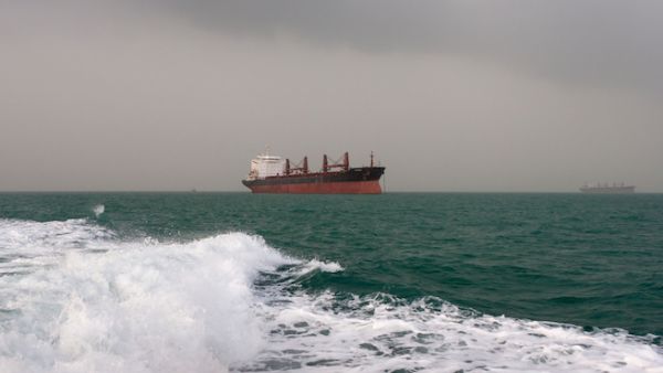 The Iranian fleet is ranked 21st among national fleets, with over 700 vessels operating in the Caspian Sea, Persian Gulf and Gulf of Oman. (Shutterstock)