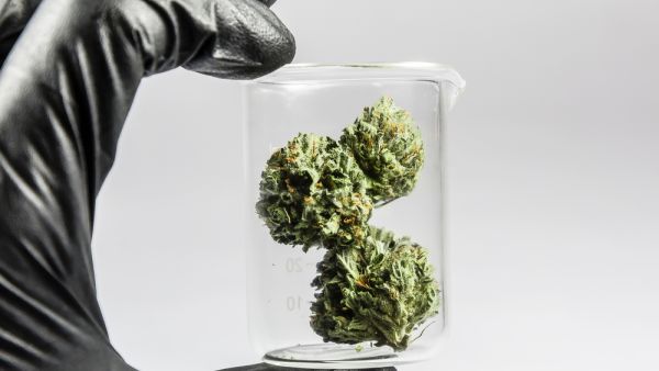 (Shutterstock/File Photo)