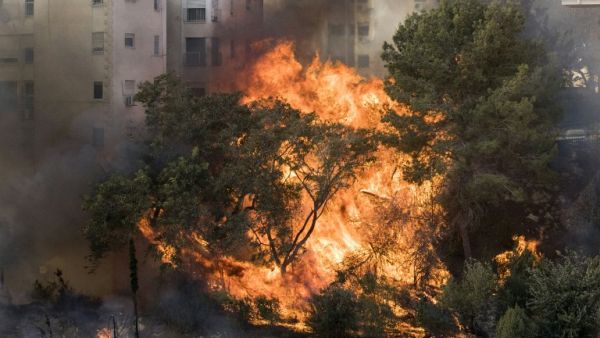Fire burns in Haifa last week (Jack Guez/AFP)