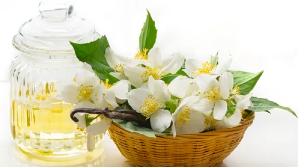 زيت الياسمين يجعل البشرة أكثر نعومة ونضارة

