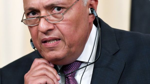 Egypt's Foreign Minister Sameh Shoukry (AFP/File Photo)