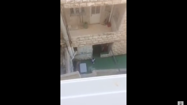 "I could not imagine that my daughter would be subjected to this type of violence." (YouTube)