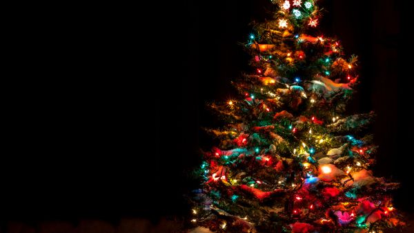 The MP called for erecting a large Christmas tree in Kuwait's Safat Square. (Shutterstock)