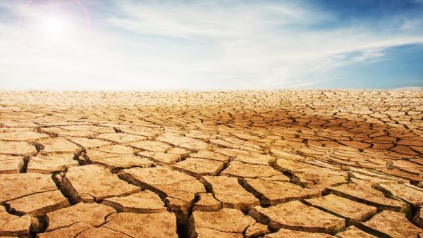 Iraq's Meteorological Department said the 54 degree Celsius weather recorded in Kuwait the hottest reliable temperature ever recorded. (Shutterstock)