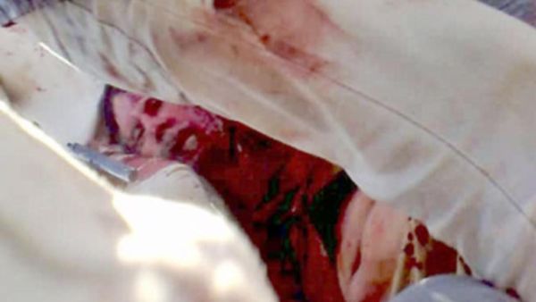 جثة الزعيم الليبي معمر القذافي