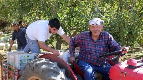 Like many other Lebanese apple farmers, Akl has been struggling with crop wastage, an issue locally known as the “apple crisis.” (The Daily Star)