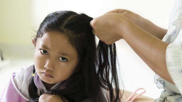 يصاب الطفل بالقمل عند استخدام فرشاة شعر طفل مصاب بالقمل
 يصاب الطفل بالقمل عند استخدام فرشاة شعر طفل مصاب بالقمل