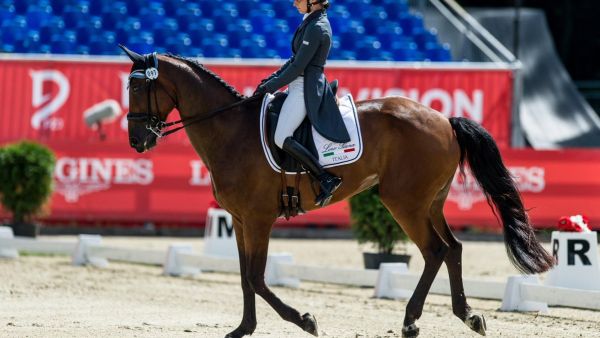 World Equestrian Games Tryon  (Twitter)