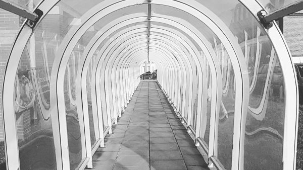 This plastic tunnel in Cornwall is a highly-rated tourist attraction (Twitter)