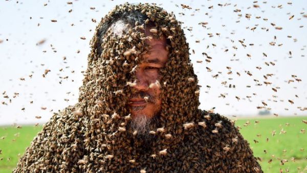 Zuhair Fatani (Twitter)