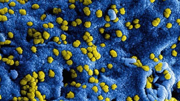 t has been six years this month since the first outbreak of Middle East respiratory syndrome (MERS) was reported in Saudi (Twitter)