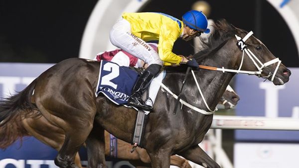 World class horse racing in Dubai