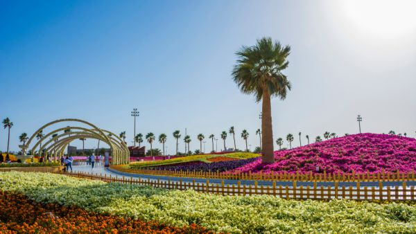 (Shutterstock/ File Photo)