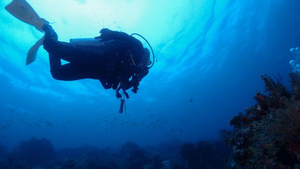 (Shutterstock/ File Photo)