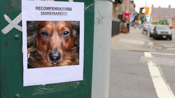 (Shutterstock/ File Photo)