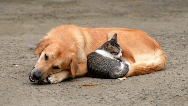 (Shutterstock/ File Photo)