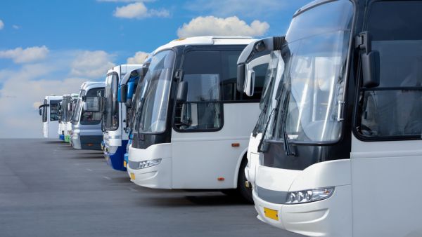 (Shutterstock/ File Photo)