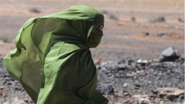 بسبب سرقة أغنام.. 55 قتيلا وجريحا