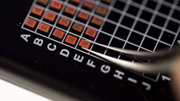 NYUAD Logic Locked Chip