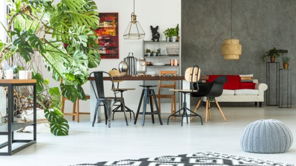 تجدد النباتات الطبيعية طاقة المكان، وهناك نباتات ينصح بزراعتها داخل البيت تجدد النباتات الطبيعية طاقة المكان، وهناك نباتات ينصح بزراعتها داخل البيت